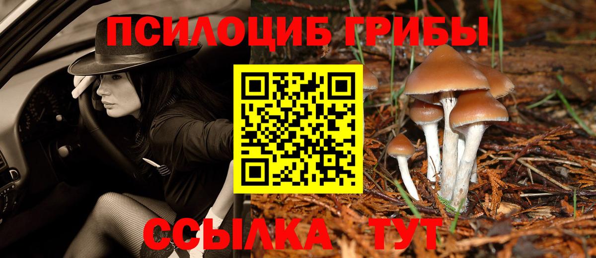 Псилоцибиновые грибы Psilocybine cubensis  что такое   Иваново  Вход с VPN 